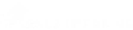 ScaleItForMe